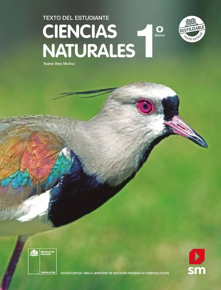 ciencias naturales primero basico