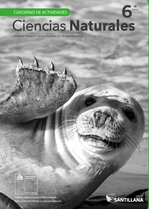 Cuaderno de Actividades - Ciencias Naturales 6º Básico