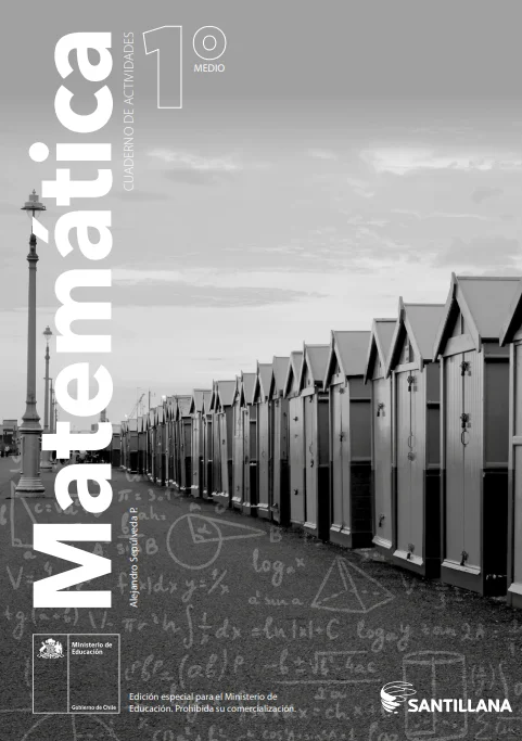 Matemática 1° Medio, Santillana, Cuaderno de actividades